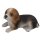 Bambelaa! Hundefigur Liegend Wetterfeste Garten Deko aus Polyresin Braun Weiß für Innen & Außen Braun-Weiß ca 18 x 10 x 10,5cm